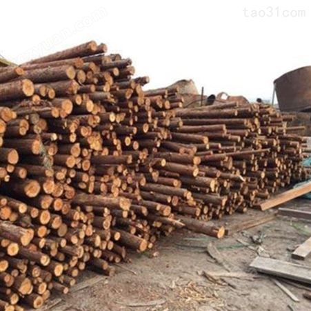 常州杉木桩 三米杉木桩尺寸 胜洁木业