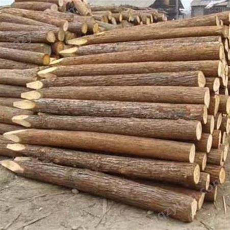 常州杉木桩批发 防腐杉木桩护岸 河道杉木桩出售