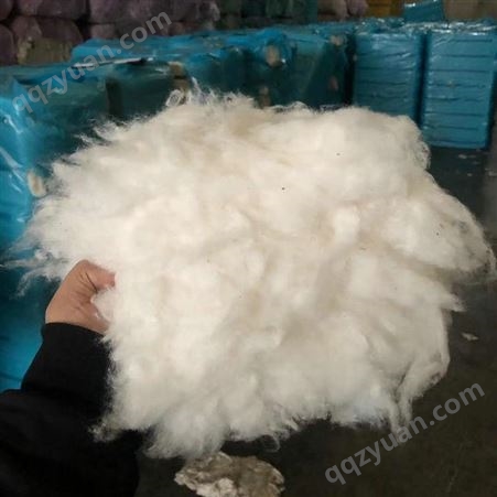 进口棉花 絮棉专用棉 供应 供应纺织填充物棉