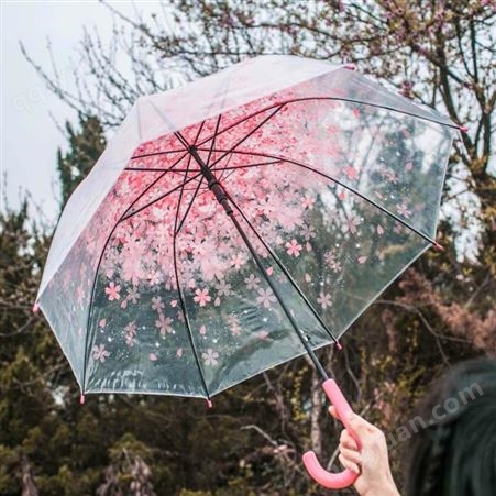 长柄自动透明雨伞女日系韩国创意小清新ins直柄樱花雨伞公主拱型