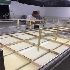 小型腐竹生产线 家庭作坊豆油皮生产设备厂家 包技术上门安装