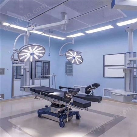 手术室净化 无尘净化车间装修 专业设计安装 防尘净化系统 十万级无尘车间