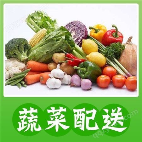 蔬菜配送 15日出价 工厂食堂食材供给 每日送货 质检新鲜保证 无添加剂