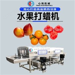 苹果梨打蜡机械 桔子柚子涂蜡设备 水果自动涂膜机