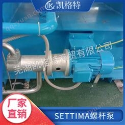 SETTIMA赛特玛GR55SMT16B300LRF2低压螺杆泵 空压机压缩机润滑泵