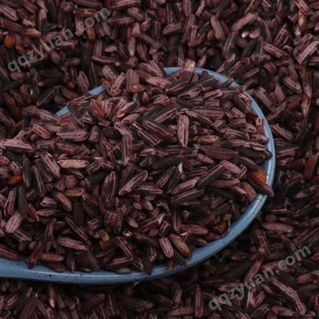 桂花甲紫米500克 养生粥米稻米 云南品牌厂家直供