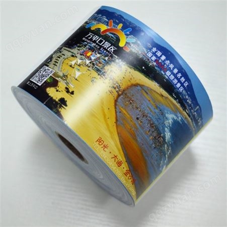 儿童梦幻乐园门票 观光风景名胜区门票 卷式彩色门票 印刷