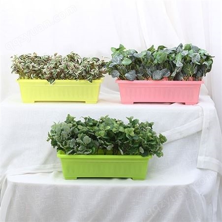 种菜盆阳台 家庭蔬菜花盆 家用塑料种菜盆 长方形种菜盆 草莓种植盆