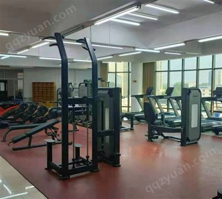 惠州惠阳健身房商用力量训练器材健身器材史密斯机小飞鸟罗马椅