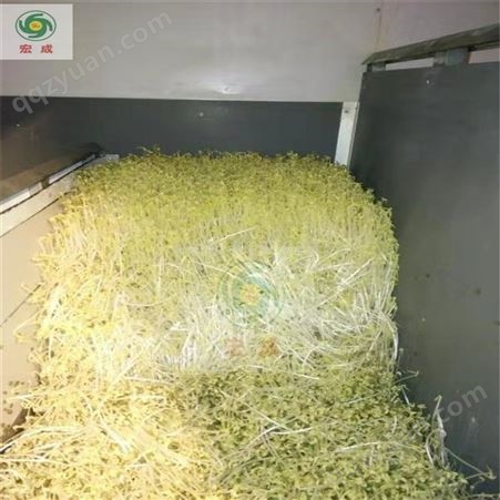 豆芽机械设备  宏成豆制品机械 