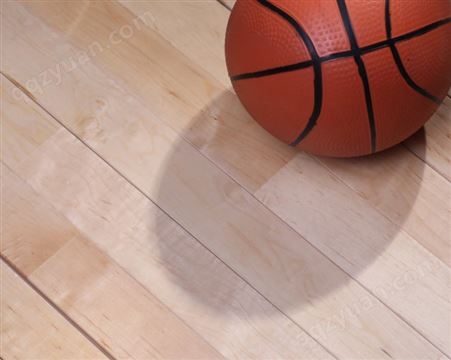 室内篮球场运动木地板 健身房实木地板 枫桦木双龙骨