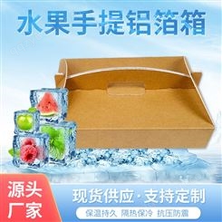 水果蓝莓车厘子铝箔手提包装箱冷冻食品冷链包装箱生产批发定做