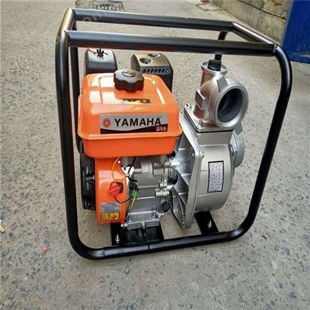 2寸汽油机抽水泵 小型便携式抽水泵 应急抢险汽油抽水泵