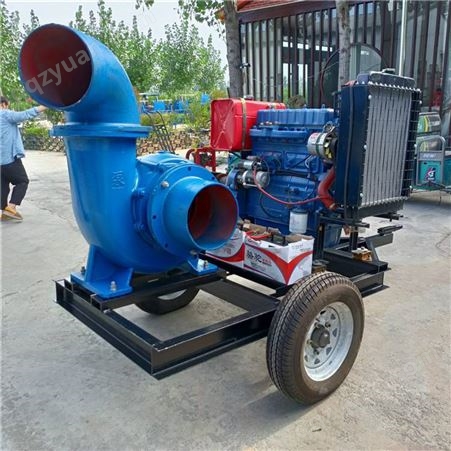 高扬程高压灌溉水泵 市政工程排涝抽水机 拖拉机后悬挂300型高扬程泵