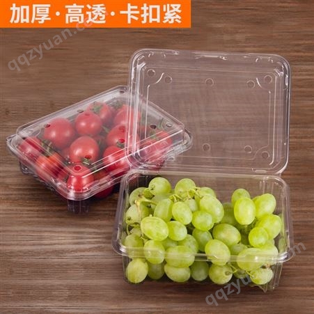 一次性水果超市盒带盖塑料高透长方形包装盒草莓葡萄果蔬打包盒