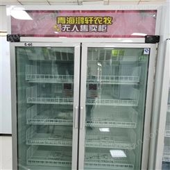 广州易购无人自助生鲜柜 自动蔬菜售货机 果蔬智能售货机 社区无人售卖柜 自助生鲜售货柜