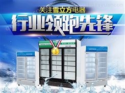 雪立方698 冰柜卧式冷冻柜 熟食柜 雪糕冰激凌冷藏柜1098