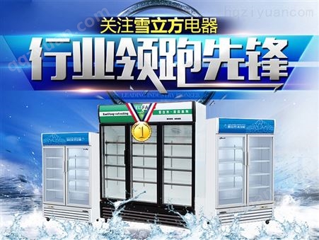 雪立方商用双门展示柜 饮品陈列柜 冷藏超市用展柜